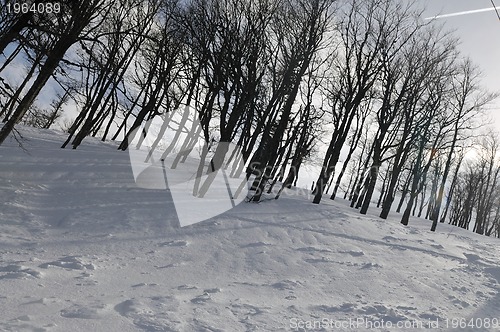 Image of winter landscape