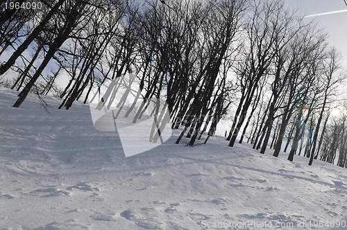 Image of winter landscape