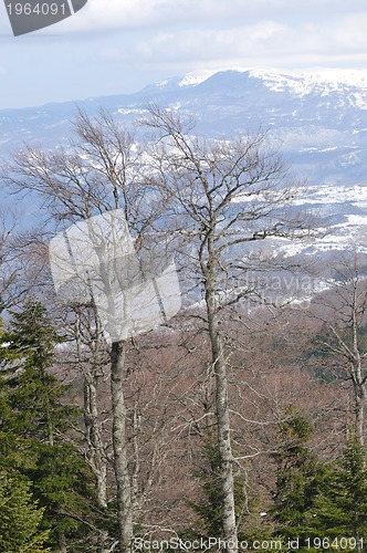 Image of winter landscape