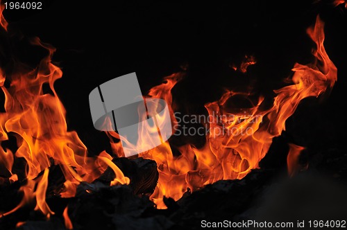 Image of wild fire