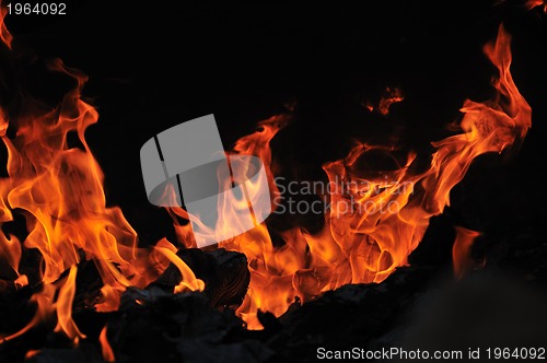 Image of wild fire