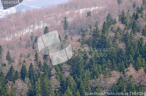 Image of winter landscape