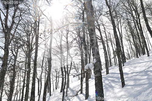 Image of winter landscape