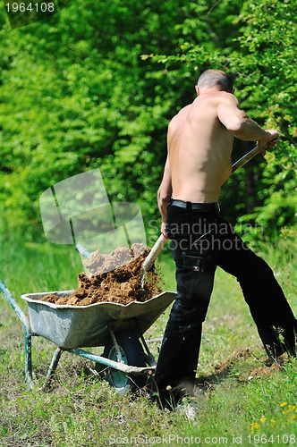 Image of man garden work