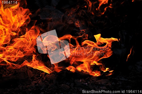 Image of wild fire