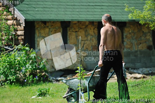 Image of man garden work