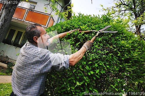 Image of man garden work