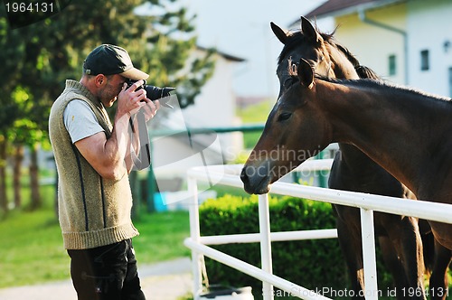 Image of photographer and horse