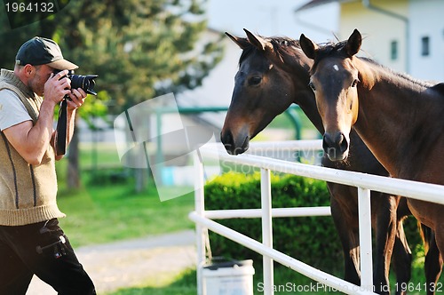 Image of photographer and horse