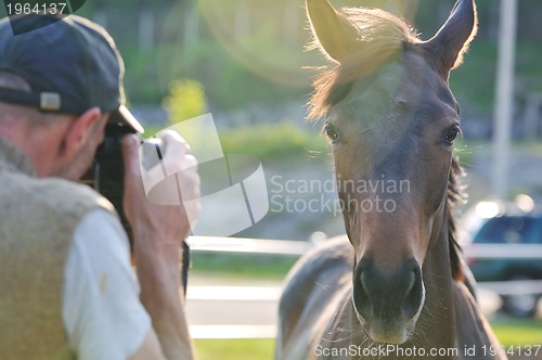 Image of photographer and horse