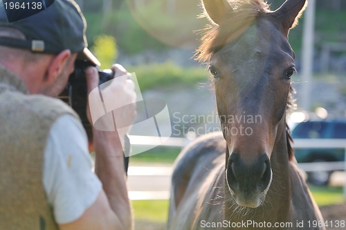 Image of photographer and horse