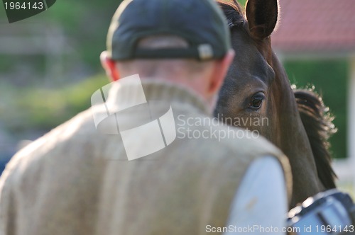 Image of photographer and horse