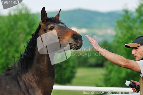 Image of photographer and horse