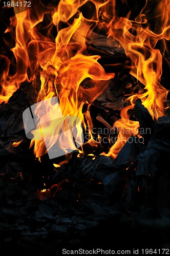 Image of wild fire