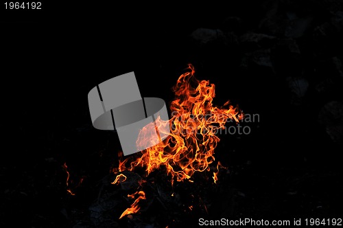 Image of wild fire