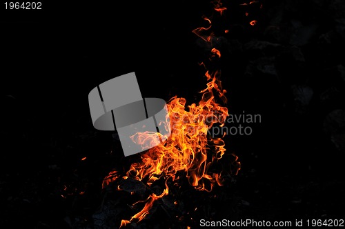 Image of wild fire