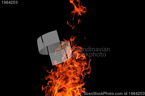 Image of wild fire