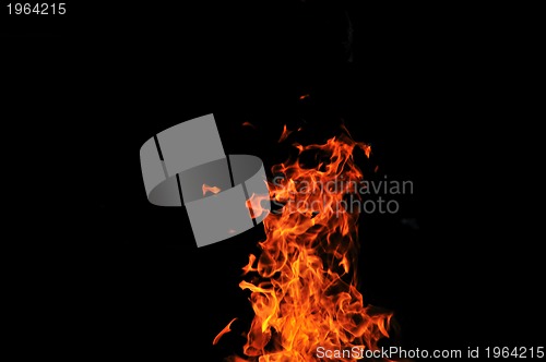 Image of wild fire
