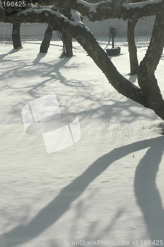 Image of Snow in the garden