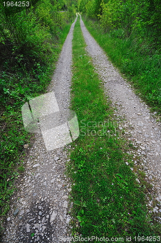 Image of countryroad adventure with beautiful sunset