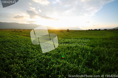 Image of beautiful sunset in nature