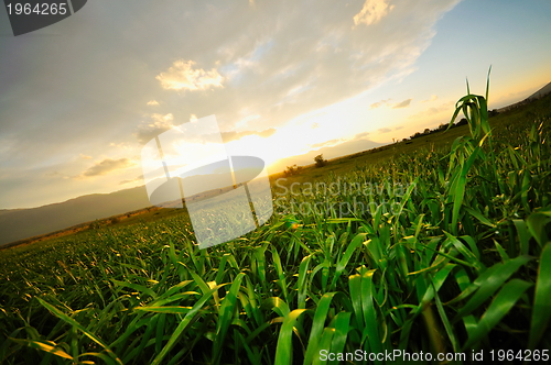 Image of beautiful sunset in nature