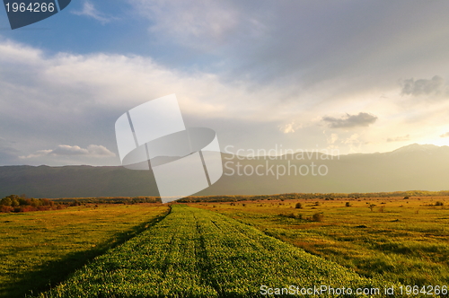 Image of beautiful sunset in nature