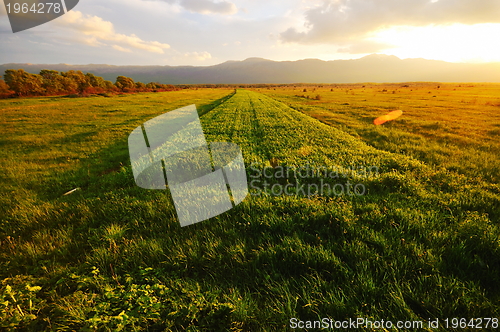 Image of beautiful sunset in nature