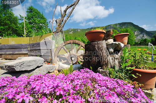 Image of garden with beautiful flower decoratin