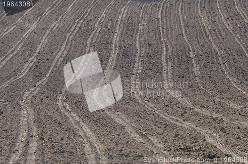 Image of rural field farming