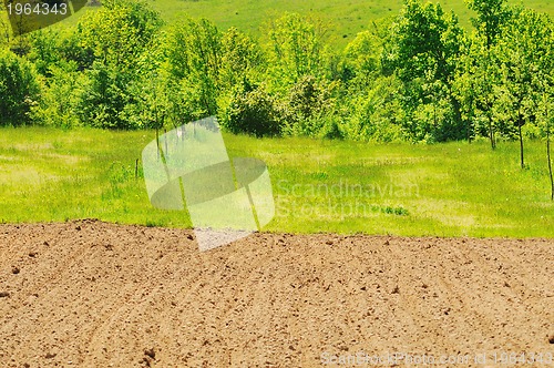 Image of rural field farming