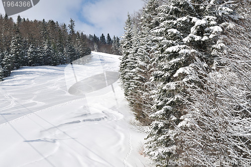 Image of tracks on ski slopes at beautiful sunny  winter day