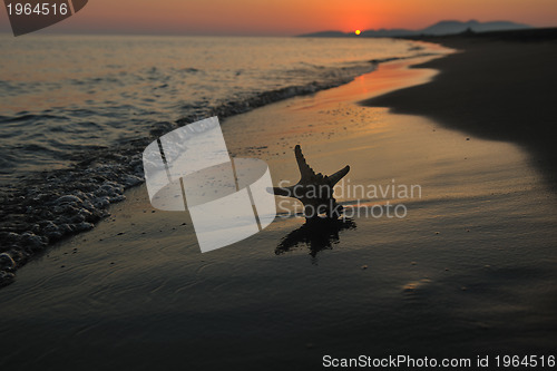 Image of summer beach sunset with star on beach