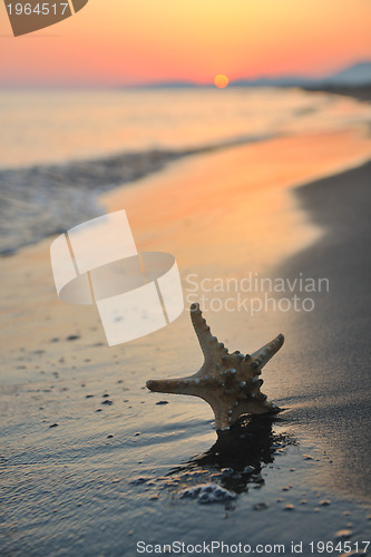 Image of summer beach sunset with star on beach