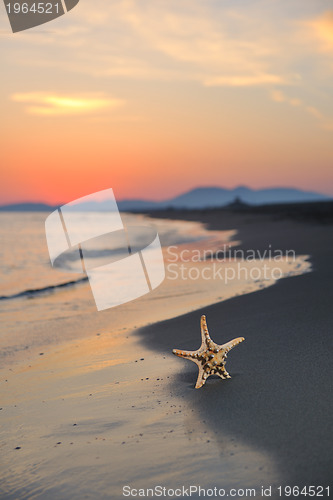 Image of summer beach sunset with star on beach