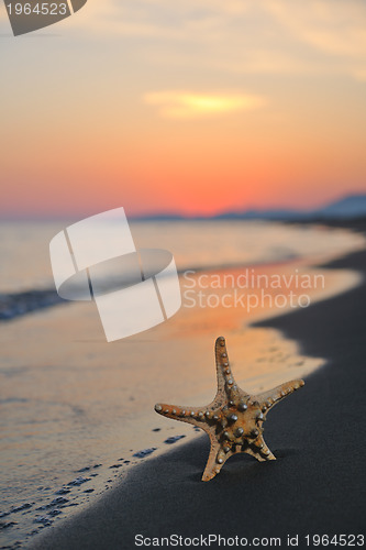Image of summer beach sunset with star on beach