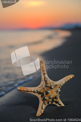 Image of summer beach sunset with star on beach