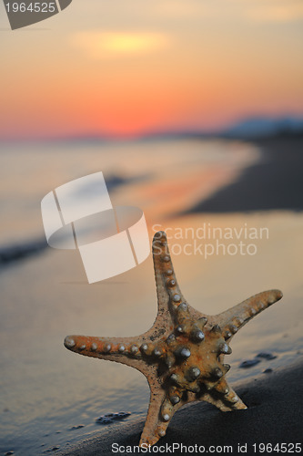 Image of summer beach sunset with star on beach