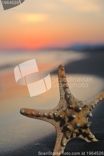 Image of summer beach sunset with star on beach