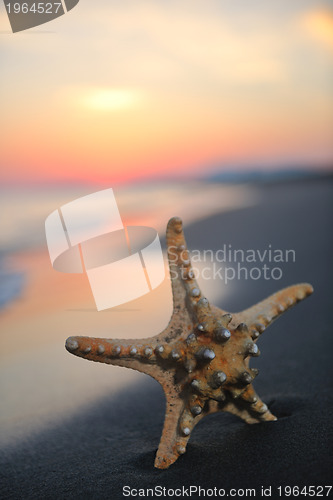 Image of summer beach sunset with star on beach