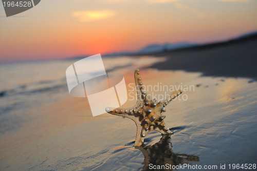 Image of summer beach sunset with star on beach