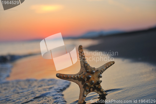 Image of summer beach sunset with star on beach