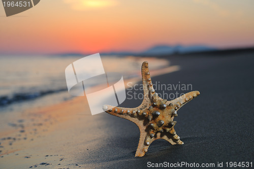 Image of summer beach sunset with star on beach