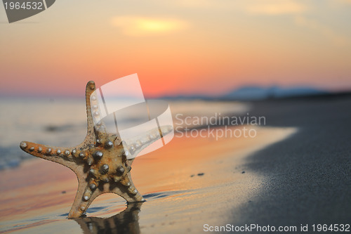 Image of summer beach sunset with star on beach