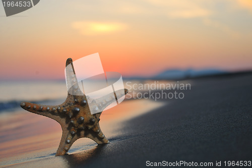 Image of summer beach sunset with star on beach