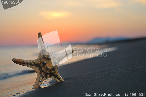 Image of summer beach sunset with star on beach