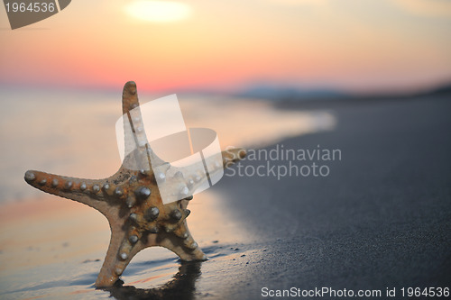 Image of summer beach sunset with star on beach