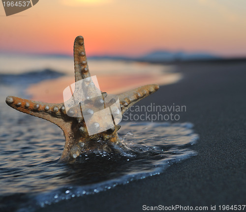 Image of summer beach sunset with star on beach