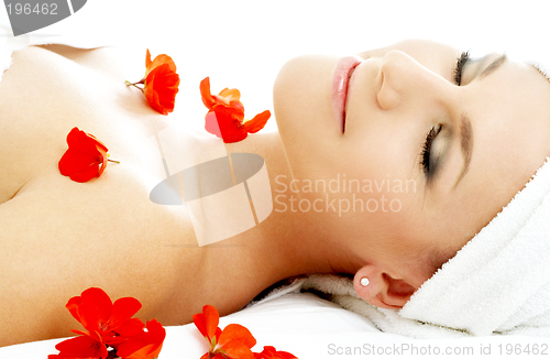 Image of red flower petals spa #2