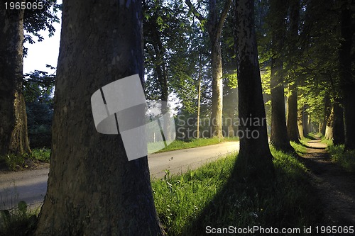 Image of sunrise in beautiful alley 